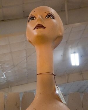 David Byrne Instagram - long neck lady