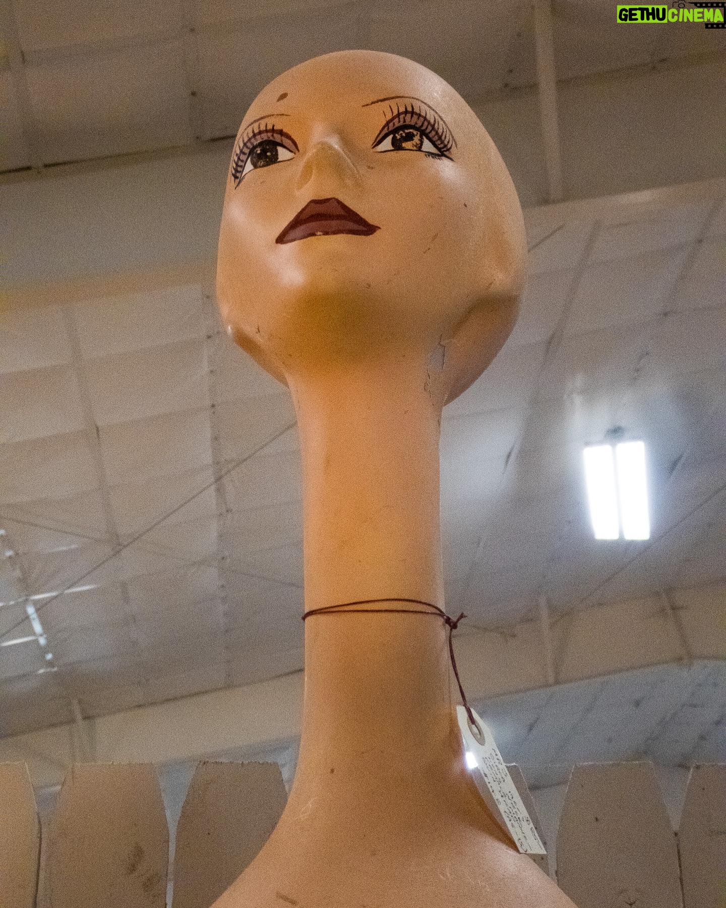 David Byrne - 9.3K Likes - long neck lady