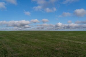 David Byrne Instagram - grassy horizon
