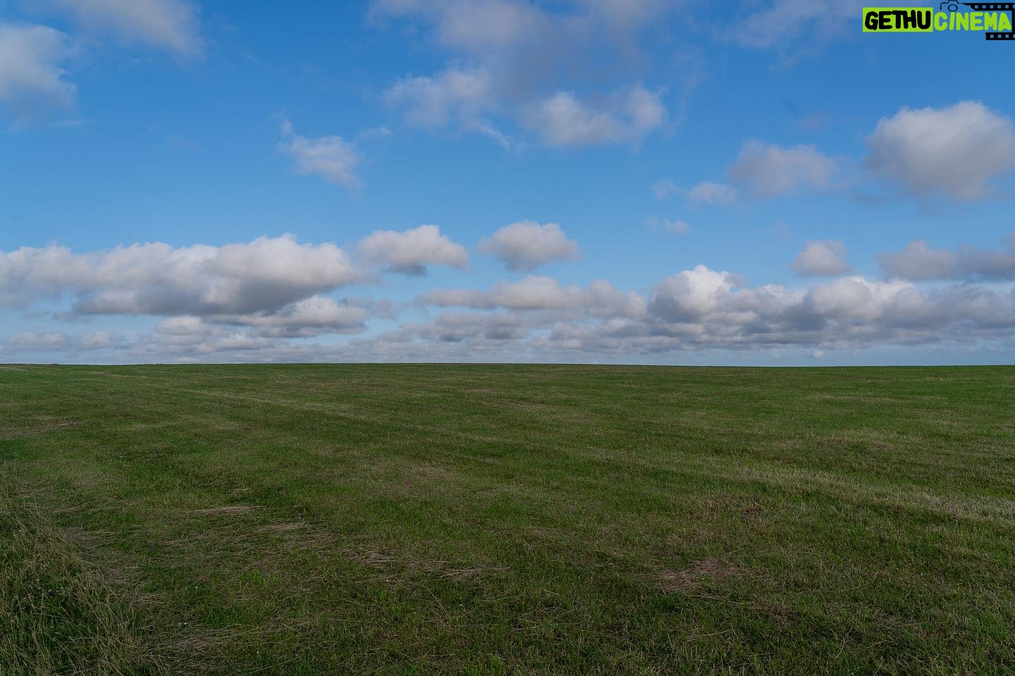 David Byrne - 7K Likes - grassy horizon