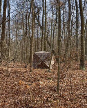 David Byrne Instagram - mysterious object in the woods