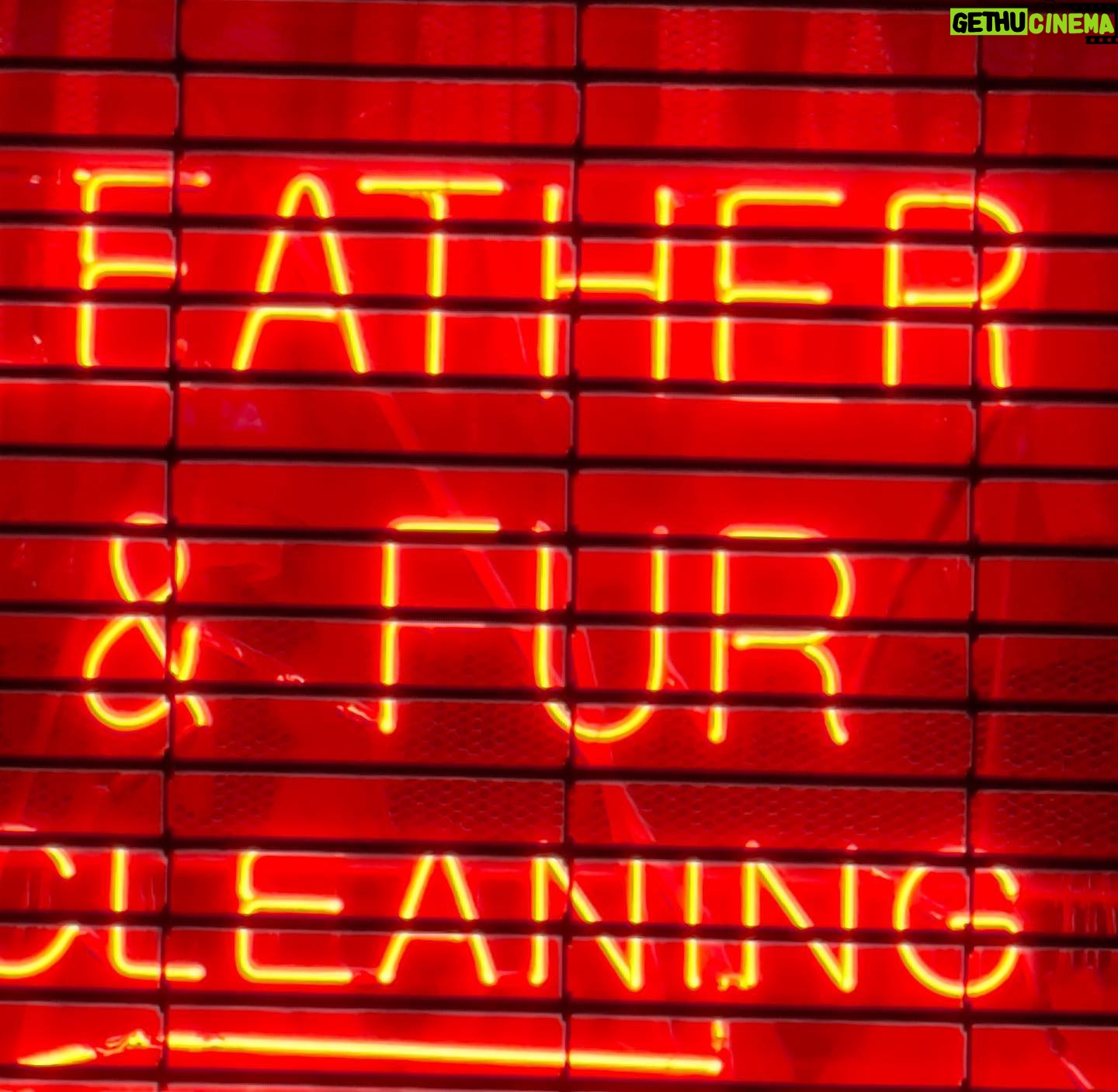 David Byrne - 7K Likes - for dirty dads