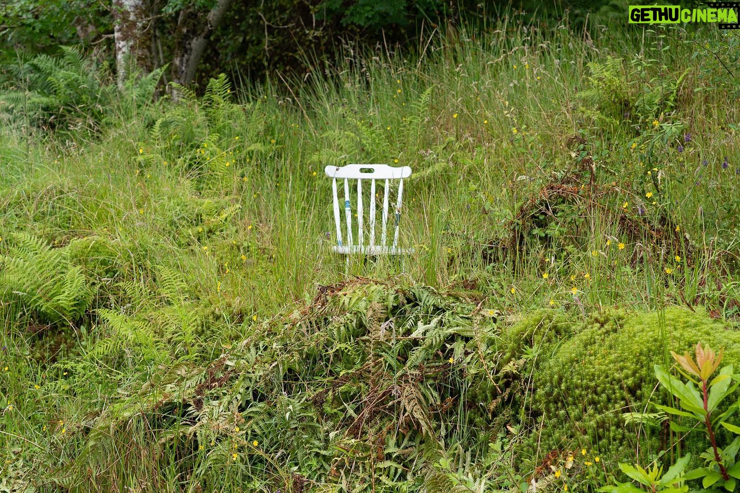David Byrne - 7K Likes - Scottish rest area