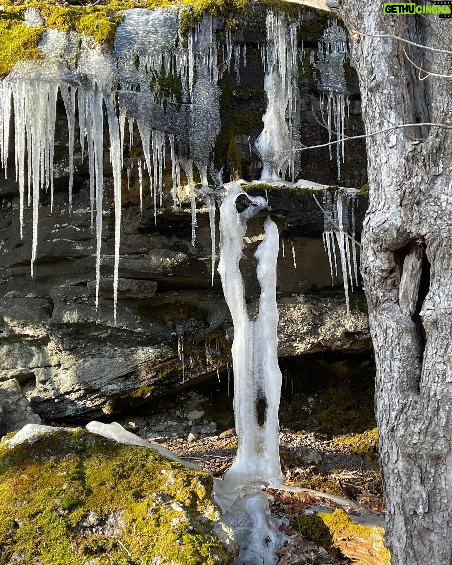 David Byrne - 5.3K Likes - ice imitates tree