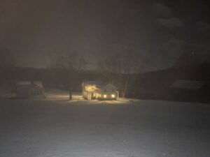 David Byrne Instagram - horror movie