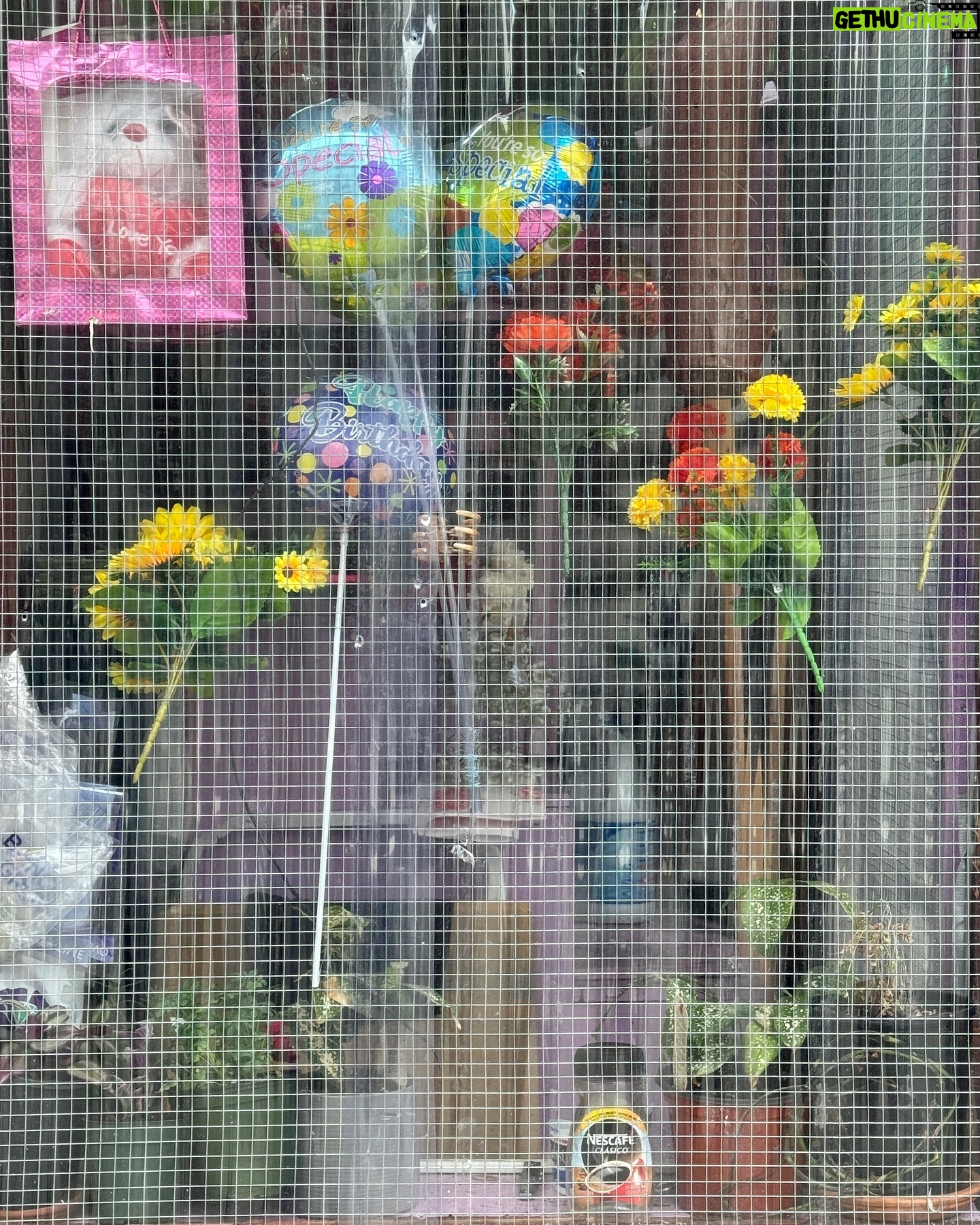 David Byrne - 5.6K Likes - flowers and Nescafé