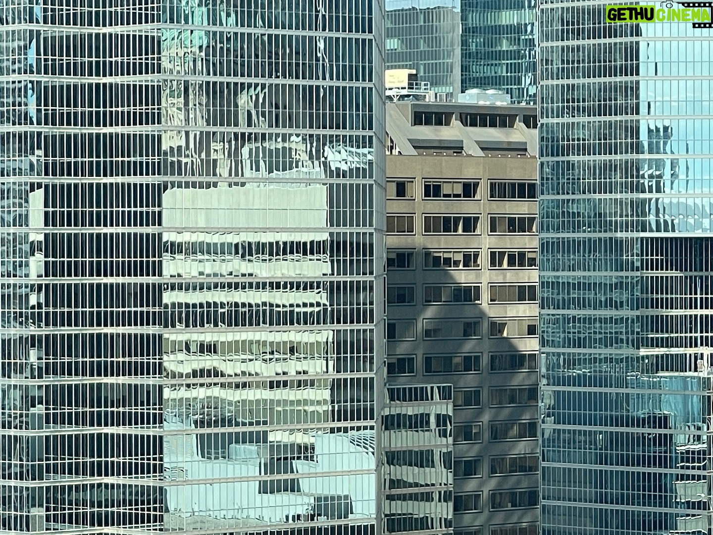 David Byrne - 8.2K Likes - Toronto views itself