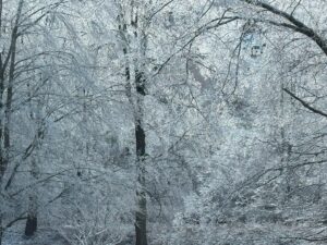 David Byrne Instagram - frozen world