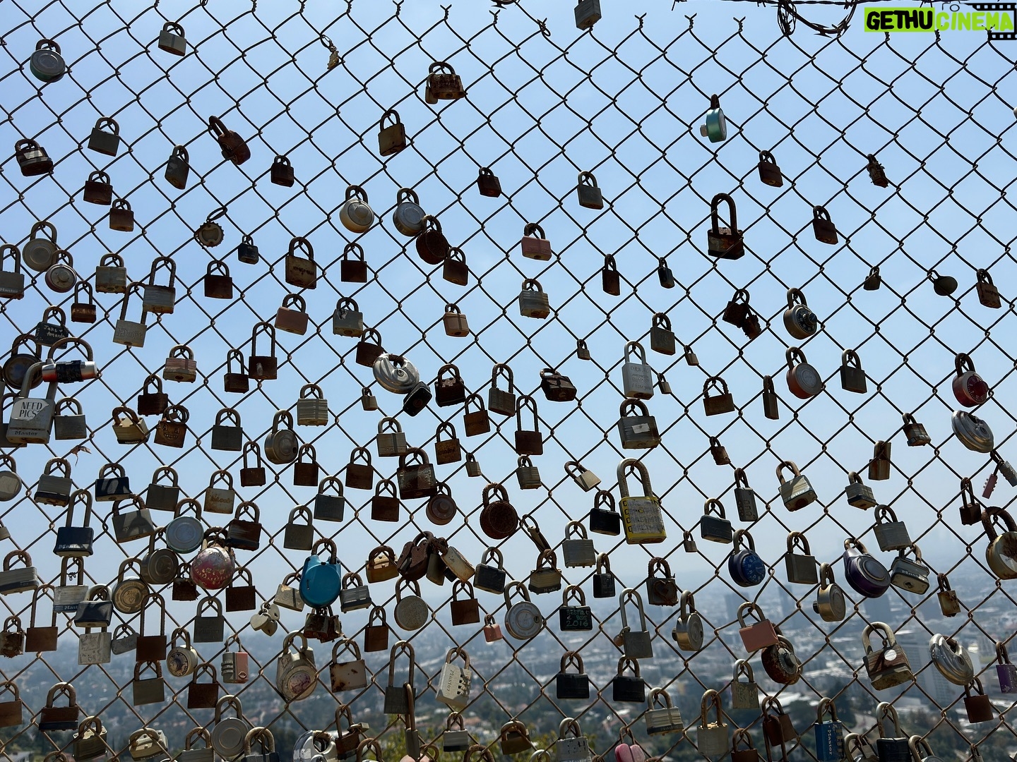 David Byrne - 7.5K Likes - locks swarm LA
