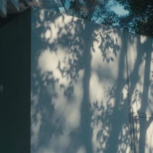 David Chiu Instagram - -
日常排練──《夏暑》
-
炎夏午後的暈眩感，
讓人迷離。
-
也許再過十幾年，
你會重新記得過往的一段故事。
-
並不是記得它的結局，
而是故事裡最明亮又失落的瞬間。
-
我們經歷的這些年歲，
甚至生活本身，
都可能是不真實的。
-
但是你知道，
那些讓你恍然的瞬間，
都是真的。
------------------
感謝兩位用心的演員，
一起完成這次小小的排練。
------------------