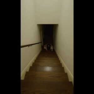 David F. Sandberg Instagram - “Making Cam Closer II” is now up on the YouTube channel (ponysmasher.com)