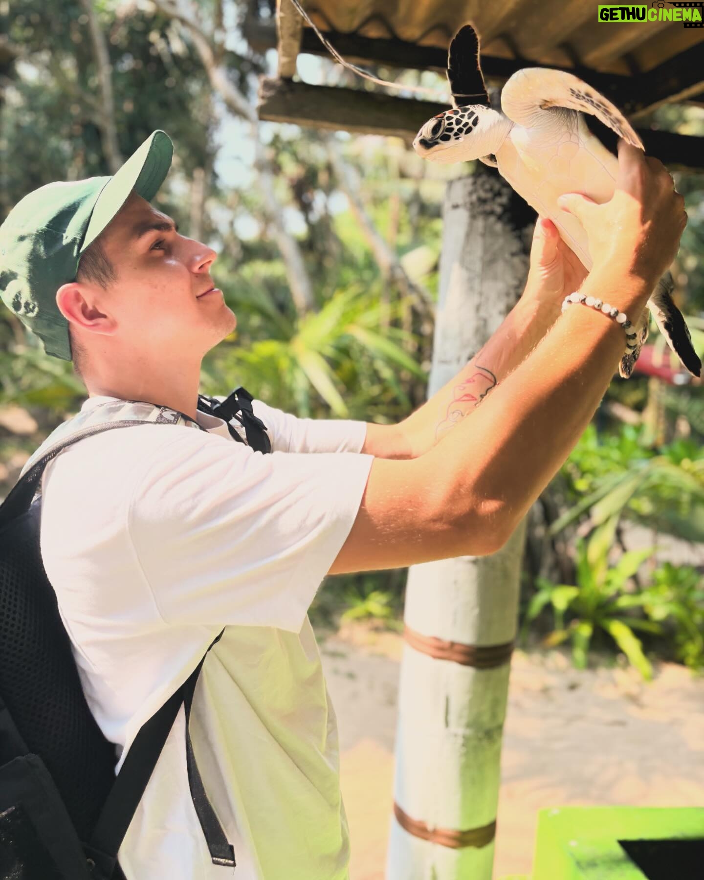 David Gránský - 10.9K Likes - 𝙎𝙚𝙖 𝙏𝙪𝙧𝙩𝙡𝙚 𝙋𝙧𝙤𝙟𝙚𝙘𝙩 -
Organizace na ochranu zvířat na Srí Lance 🌊
𝗗𝗮𝘆 #14 🇱🇰🌴