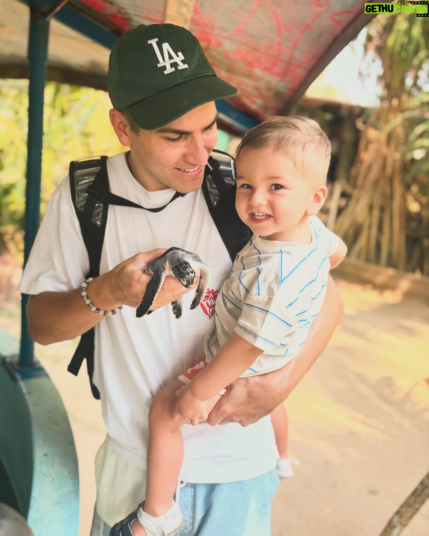 David Gránský - 10.9K Likes - 𝙎𝙚𝙖 𝙏𝙪𝙧𝙩𝙡𝙚 𝙋𝙧𝙤𝙟𝙚𝙘𝙩 -
Organizace na ochranu zvířat na Srí Lance 🌊
𝗗𝗮𝘆 #14 🇱🇰🌴