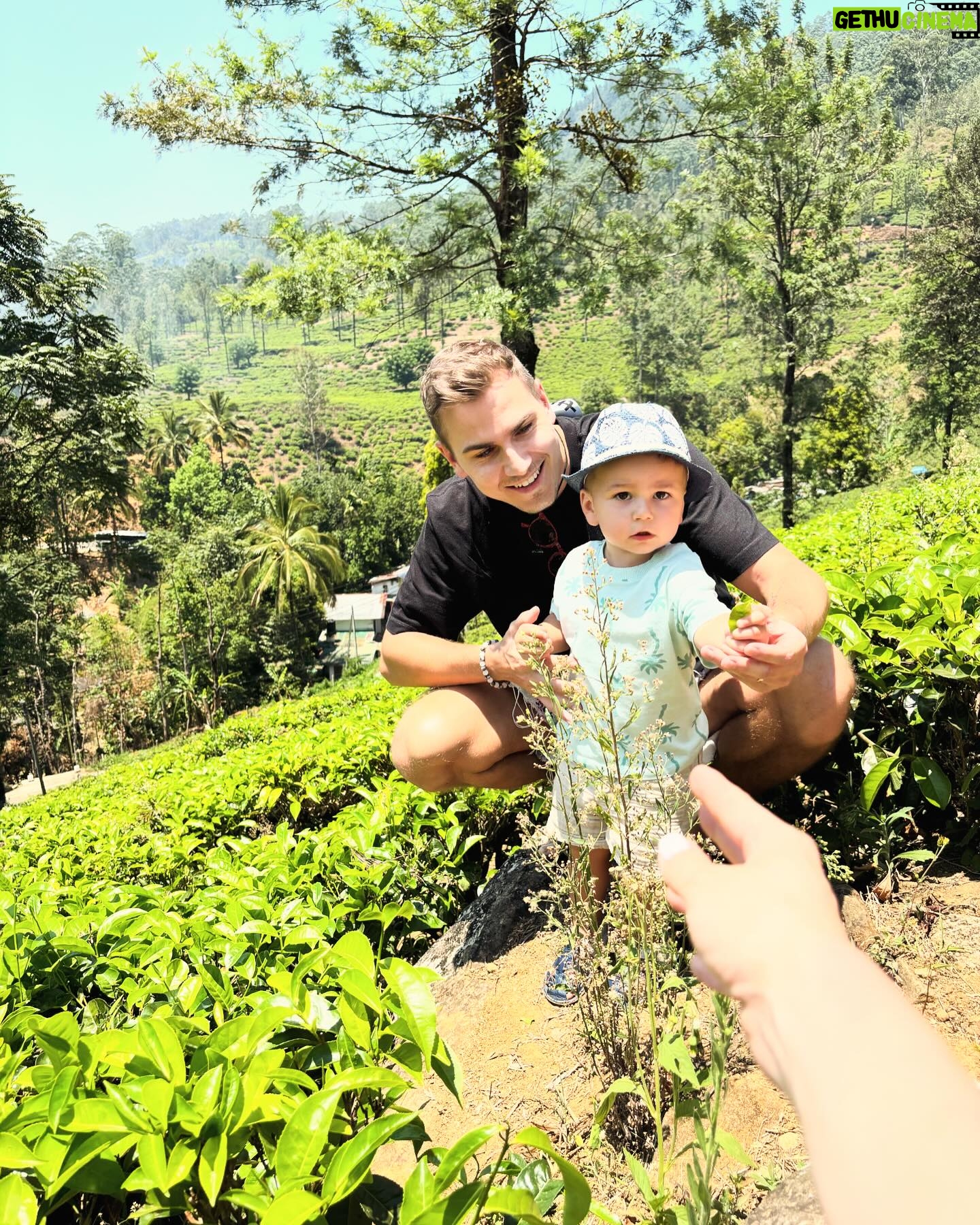 David Gránský - 8.6K Likes - Čajové plantáže 🍃🫖
Srí Lanka 🇱🇰
Day #10