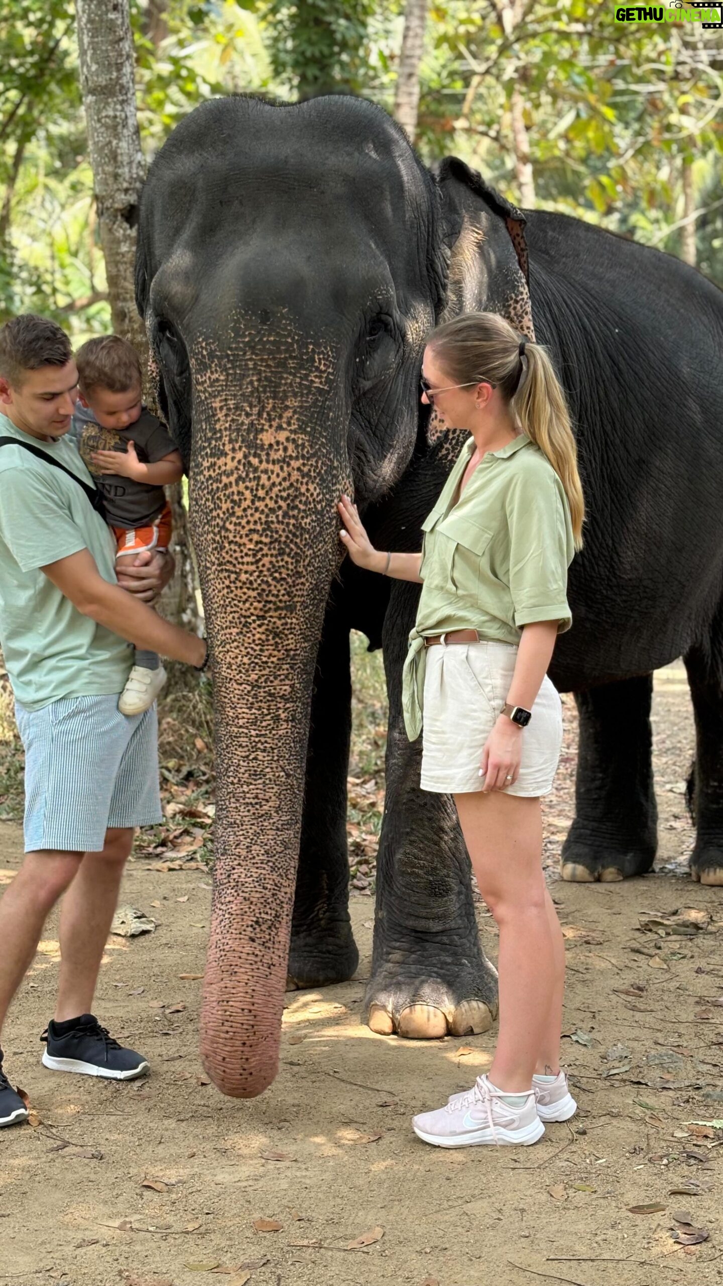 David Gránský - 15.1K Likes - Srí Lanka 💚🐘
@absolutesrilanka 💚
Day #5
