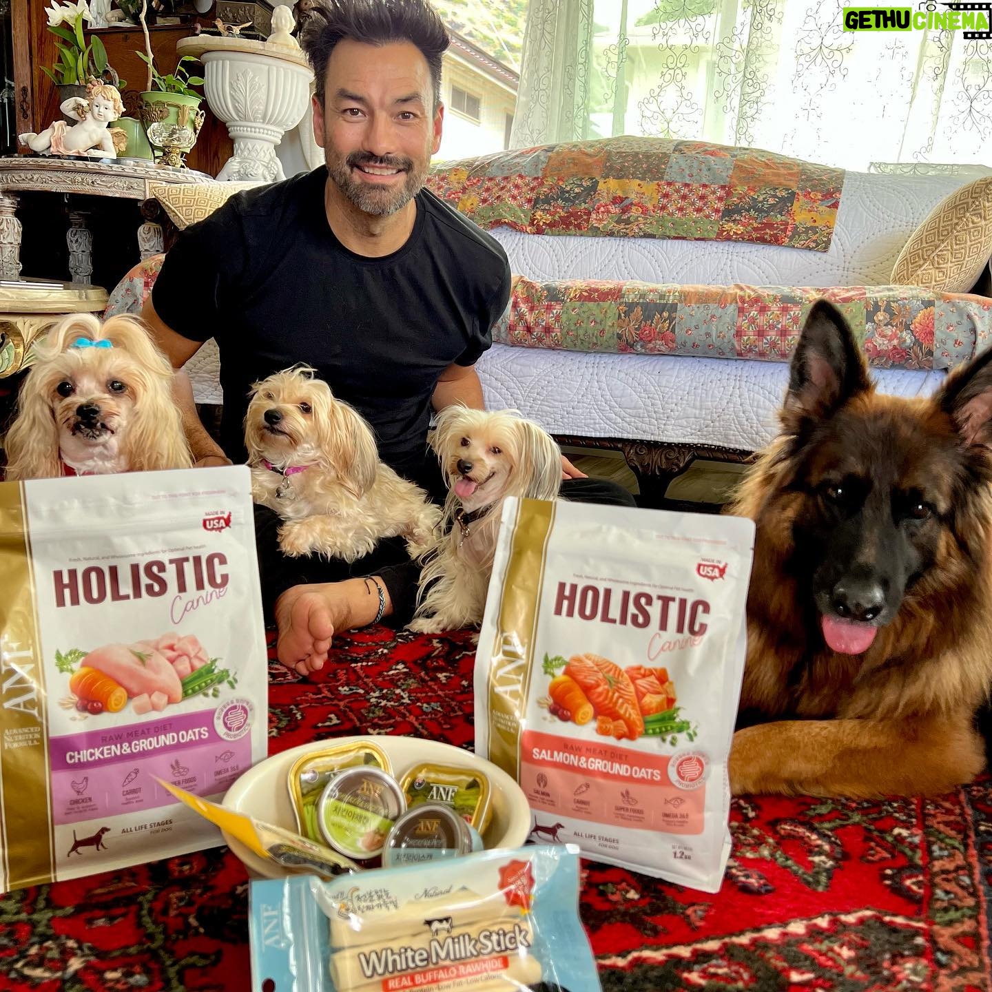 David Lee McInnis - 1.4K Likes - ANF 없어면 개 파티라고 할수 없지!!!
Wouldn’t be a dog party without @anf_korea !!! 🙏🏻