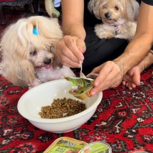 David Lee McInnis Instagram - ANF 없어면 개 파티라고 할수 없지!!!

Wouldn’t be a dog party without @anf_korea !!! 🙏🏻