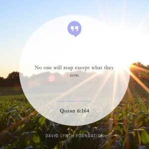 David Lynch Instagram - “No one will reap except what they sow.” - Quran 6:164

Eid Mubarak!

#EidMubarack #Quran #daily #quote #wisdom #inspiration #inspo #reap #sow #action #consequence #meditation #TranscendentalMeditation #TM #DLF #davidlynch #davidlynchfoundation #bobroth