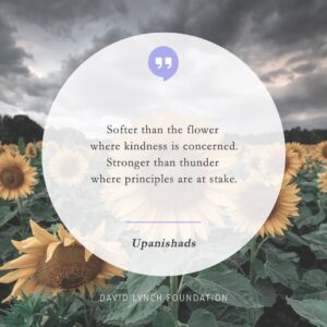 David Lynch Instagram - “Softer than the flower where kindness is concerned.
Stronger than thunder where principles are at stake.”

- Upanishads

#daily #quote #kindness #principles #flower #thunder #Upanishads #TM #meditation #TranscendentalMeditation #BobRoth #DLF #changebeginswithin
