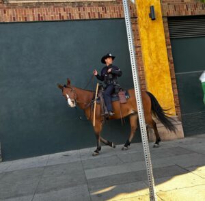 David Mazouz Instagram - lapds on horses now, we should do something stupid