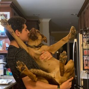 David Mazouz Instagram - Not sure if she likes it but I love this dog so much #quarantinethings