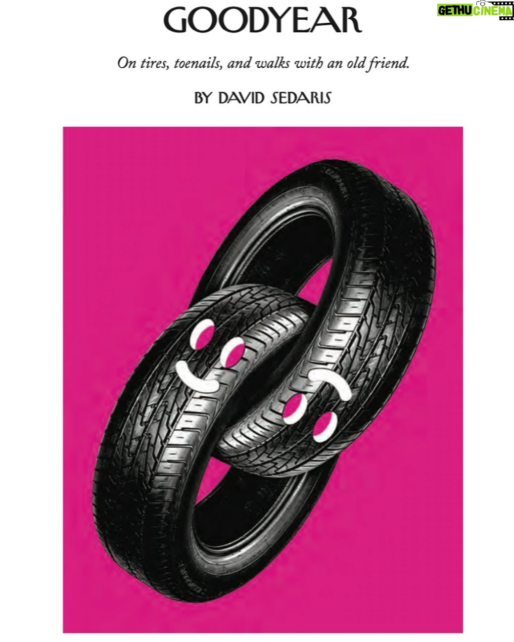 David Sedaris - 2.5K Likes - New piece in @newyorkermag (link in bio to read).