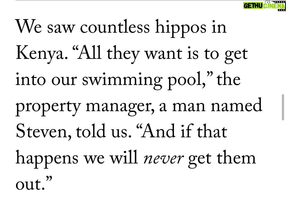 David Sedaris - 6K Likes - David has a new story in @newyorkermag, NOTES ON A LAST-MINUTE SAFARI (link in bio to read!)