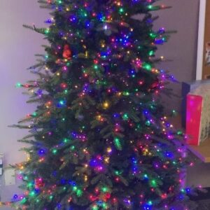 David Venable Instagram - Today … I got the chance to see many of the new Christmas in July items for 2024!  Here is a little sneak peek! 🎄🎅🏻🌟 It’s not available to order yet … but soon will be!  Enjoy.  #itsbeginningtolookalotlikechristmas #christmasinjuly #jinglebells #itsthemostwonderfultimeoftheyear #funfunfun #jointheparty