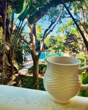 David Venable Instagram - Hey Foodies!  A little cool in South Florida … but the forecast is all Sunny today and a high of about 70 degrees!  Vacation is great.  I hope you enjoy the show today.  Happy New Year’s Eve!  #auldlangsyne #newyearseve #newbeginnings #itkwd #happydance #2024