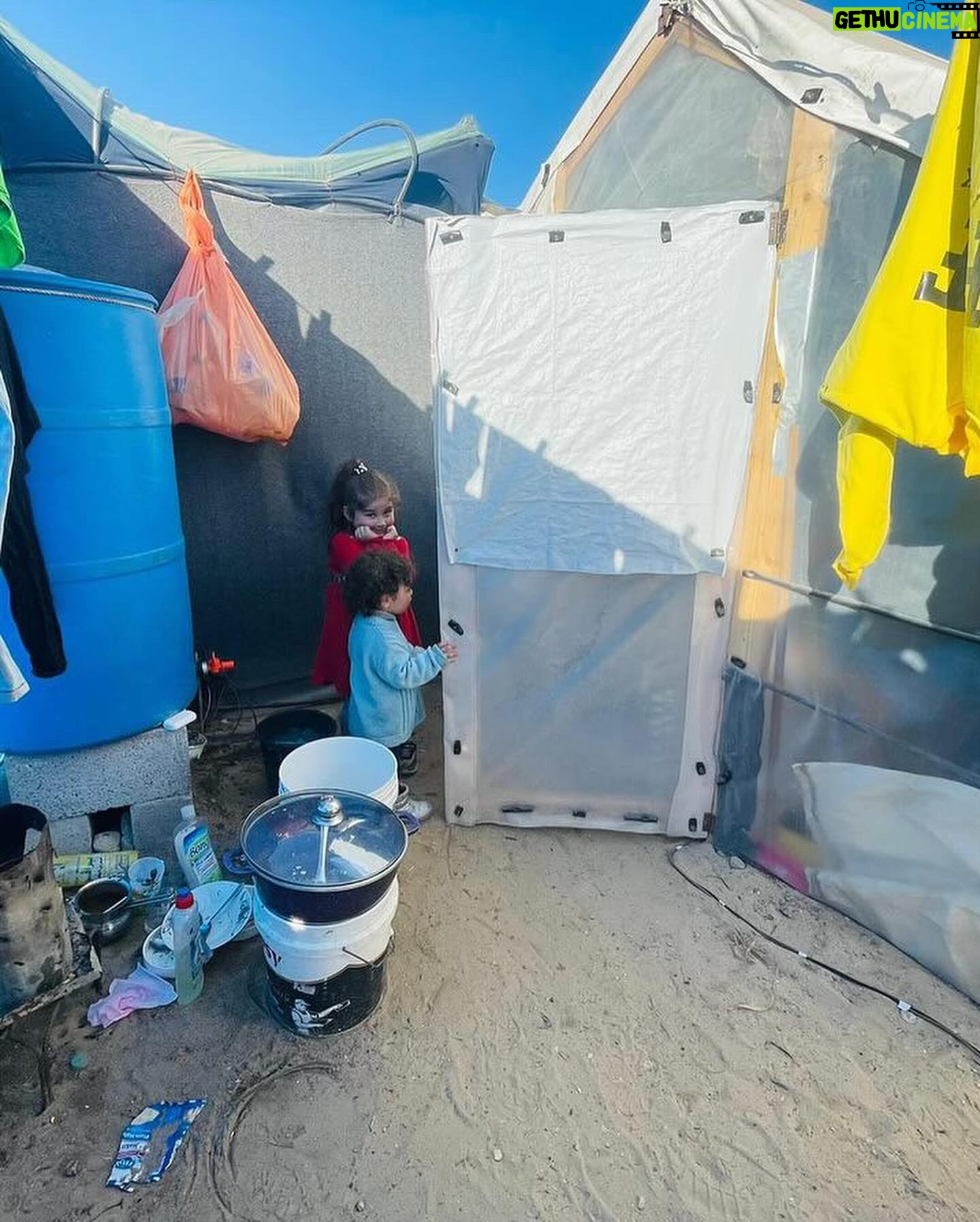 Davida Williams - 353 Likes - Urgent: Every person I’ve tagged here needs to evacuate their families immediately. Linktree in bio. There’s an impending invasion of Rafah and they are being told to leave immediately with nowhere to go. It is $5,000-$7,000 per person to cross into Egypt. All of their GoFundMe’s are in the Linktree in my bio. Please help if you can. If you’re unable, even following them and amplifying them helps a lot. Thank you ❤️ tags include @dema_sedodii , @ahmed_alashii , @marwa_alghol , @sun.flowers.99 , @rabei_n_abdulwahed