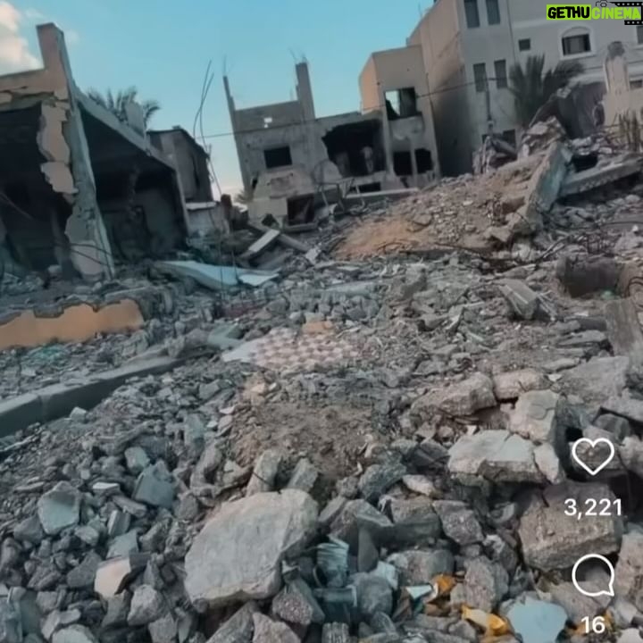 Davida Williams - 353 Likes - Urgent: Every person I’ve tagged here needs to evacuate their families immediately. Linktree in bio. There’s an impending invasion of Rafah and they are being told to leave immediately with nowhere to go. It is $5,000-$7,000 per person to cross into Egypt. All of their GoFundMe’s are in the Linktree in my bio. Please help if you can. If you’re unable, even following them and amplifying them helps a lot. Thank you ❤️ tags include @dema_sedodii , @ahmed_alashii , @marwa_alghol , @sun.flowers.99 , @rabei_n_abdulwahed