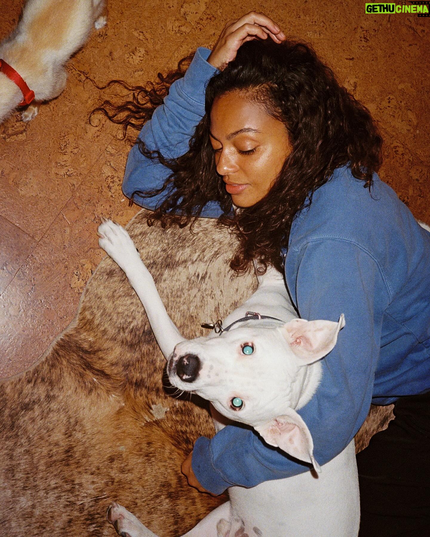Davida Williams - 384 Likes - Film from 2023 (April until now) 🎞️