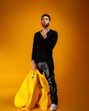 Dawin Instagram - Inspired by bee’s and mangos 🐝🥭