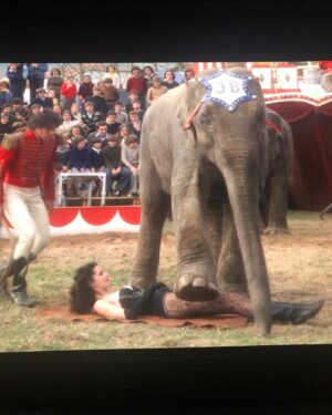 Dayle Haddon Instagram - A moving evening at the #cinemateque in Paris presenting a new version of our film, La Dernière Amant Romantique. Many sweet memories of this film shot in the countryside in Spain where I trained with a small circus and actually performed with them in front of audiences😅A great hommage for my dear director and friend, @justjaeckin  Such a great talent! Shot so beautifully by Oscar winner Robert Fraise and all my gorgeous costumes where by then designer, Marc Bohan for @dior  The wonderful directors #costaGavras and #phillipelabro were there to celebrate Just and support the special evening. I was concerned after all this time that the film might not hold up but it is a beautiful, lyrical fairy tale that had a great success and seemed to be enjoyed and uplifting for all. It is so special to revisit what we have done with new eyes and remember with joy all the stories that happened behind the scenes that only adds to the film itself. It was an emotional evening. Thank you all who put this evening together with such love and care!! Thank you to my dear Just Jaeckin who I owe so much!! @justjaeckin @cinemathequefr @philippelabro36 @dior #cinema #film #laderniereamantromantique #movies #memories #circusinspiration