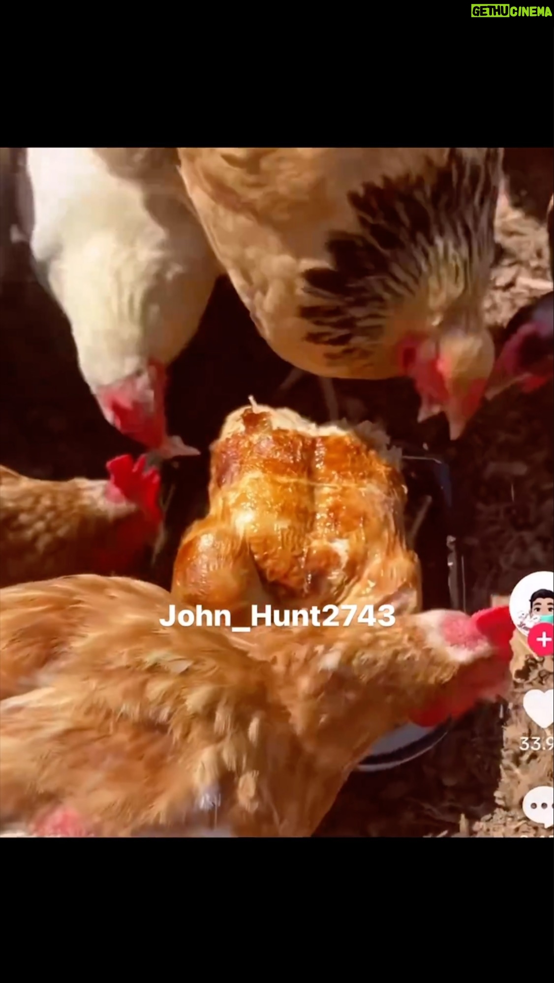 Daym Drops - 1K Likes - Naaaah @john_hunt2743 - This one took me TF out! 🤣🤣🤣
It’s ALWAYS your own that do you EXTRA DIRTY!! 🤣🤣🤣🙌🏾
#BirdsOfAFeather #EatChickenTogether