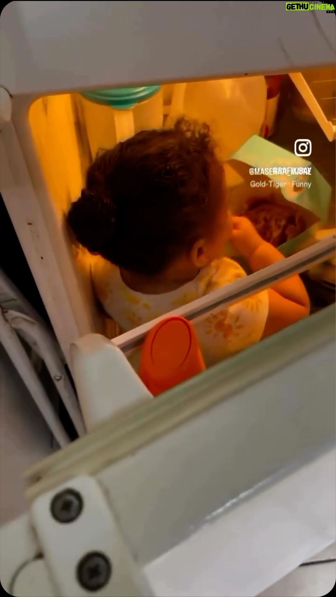 Daym Drops - 524 Likes - Chilllll!! Lil’ Mama just wanted a midnight snack! We have ALL been here! 👀🤷🏾♂️