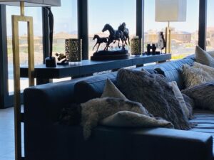 Dean Cain Instagram - Can you spot the doggie 🐶 ?
#LazySunday