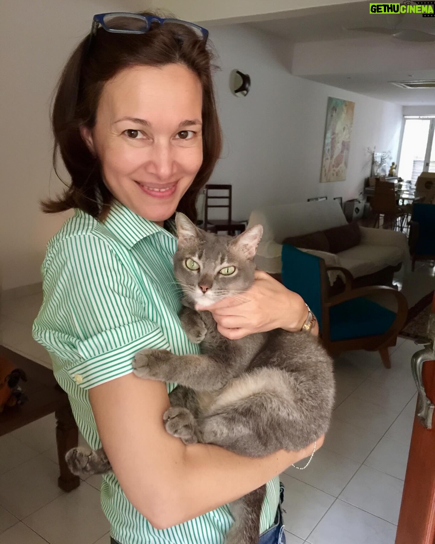 Deanna Yusoff - 1K Likes - Itās been 2 years since you left us. Miss you my sweet little Lulu-rella.
#cat
#overtherainbow
#lulu
#anniversary