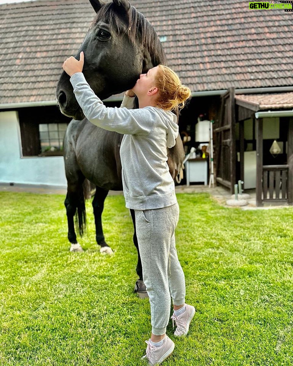 Debbi - 349 Likes - Nedělní venčení na zahradě 🤗♥️🐎 #debbilife #horselove