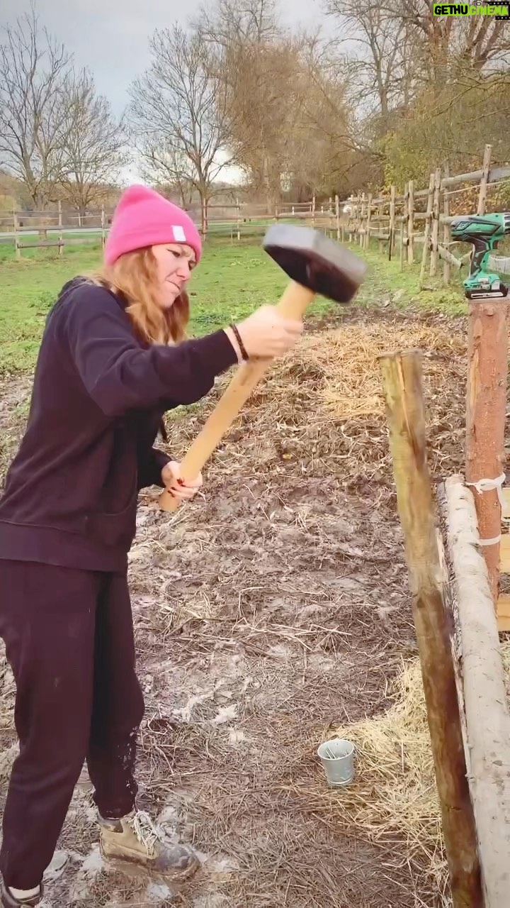Debbi - 2.1K Likes - Mít tři koně není jako mít tři křečky 😂 člověk se musí občas poradně zašpinit 😅 #debbilife #horses #wecandoit #koně #ladypower
