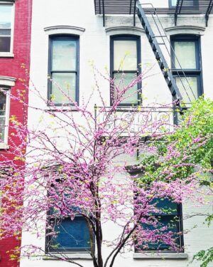 Deirdre Lorenz Instagram - May mood 🌸🦋💖 Enjoying the inspiring views in the city this morning. Ready for new roles, collaborations and awesome times with friends and family. Wishing you a good month, too.✨#kickoff #nyc #mayday 
.
.
#newyork #actress #model #newmonth #film #series #collaboration #hollywood #casting #audition #goodmorning #working #acting #modeling #booking #raiseyourvibration #enjoylife #smile #enjoytheview #goldenhour #magic 🌿☀️