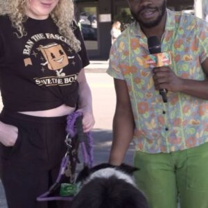 Demi Adejuyigbe Instagram - I ran around Los Angeles and asked people how they met their dogs and what they love most about them for @kismet. This is How We Kismet- check them out and say hello to Savannah and her genius Aussie Shepherd, Babka! 🐕 🐶❤️