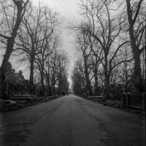 Demi Adejuyigbe Instagram - i went to london and then i returned from london and here are some photos i took through it all

2/10/24 - 3/16/24
Ilford HP5, shot on Rolleicord IV, home developed with TMax