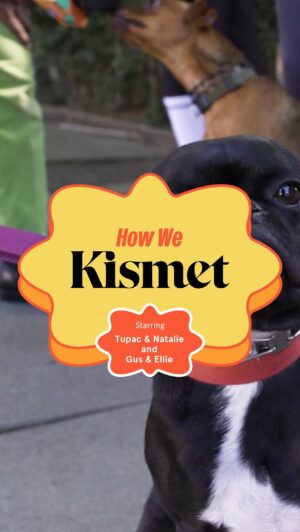 Demi Adejuyigbe Instagram - Girl meets dog. Sparks fly. Girl’s friend seeks dog – and meets him at a party by total happenstance (a.k.a. kismet). In this episode of How We Kismet™, we chat with besties Natalie and Ellie about how their plus-ones, Tupac and Gus, came into their lives at just the right moments.

- 
-
-
-
-

#KismetPets #Kismet #HowWeKismet #FoodForDogs #DogFood #BestDogFood #DemiAdejuyigbe