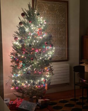 Denis O'Hare Instagram - Happy Holidays to all. This time is tough for some people. Expectations and memories can overwhelm and even sweet songs can make you ache. Take the time to find some corner of peace, some moment of gratitude.