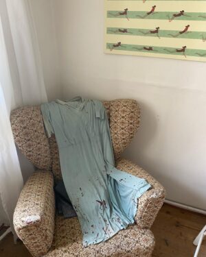 Denisa Barešová Instagram - bodies, bruises, layers, dresses, fake blood, goodbyes, pleasings, talents, scratches, lovings, bleedings, heartaches, endings, bondings, feelings