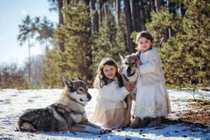Denisa Helceletová Instagram - Naše divoženky. Focení zvládly s plnou parádou a neměla jsem ani obavy o holky, jako o vlky. Vyšlo nám nádherné počasí a i přes velkou zimu bylo na sluníčku příjemně. 

S čím přijdeme příště?

Nechali byste své děti vyfotit s vlky?