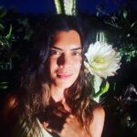 Deniz Arna