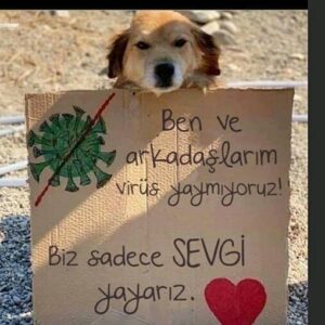 Deniz Özerman Instagram - ❤