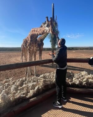 Dennis Chew Instagram - 昨天“蔡煌崇” 到了莫纳托野生动物圆 (Monarto Safari Park) 喂长颈鹿！🦒😍 

今天的行程也很精彩，早上来到了汉多夫(Hahndorf) 体验制作苹果馅饼，之后也前往了茱莉蔻农场 (Jurlique Farm) 参观！

明天会去哪里玩呢？记得锁定早上9点的 FB LIVE! ✌️

📅 5月13日 - 17日（星期一到五）
📟 8AM - 10AM （现场广播）
🔴 9AM - 10AM （Facebook Live)

#LOVE972 #早安玉建蔡煌崇